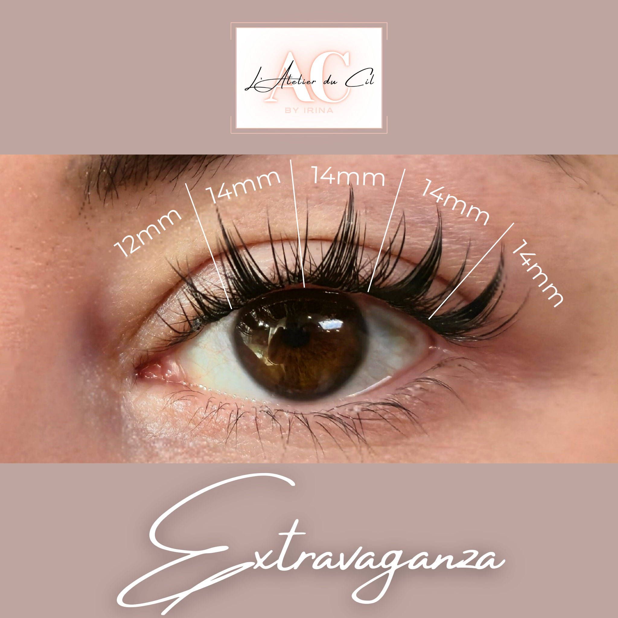 EXTRAVAGANZA Press-On Lashes